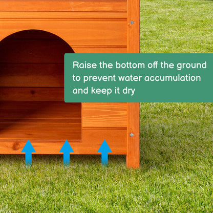 2-layer Fence, Green Asphalt Roof, Cat House